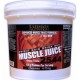 Muscle Juice 2544 (4,75кг)